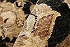 Chobi Black Hand Knotted 81 X 106  Area Rug 250-21574 Thumb 7