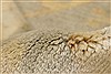 Oushak Green Hand Knotted 83 X 911 Area Rug 250-21592 Thumb 4