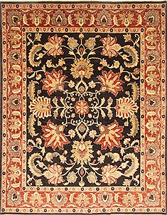 Pakistani Pishavar Black Rectangle 8x10 ft Wool Carpet 21626