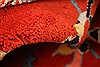 Heriz Red Hand Knotted 81 X 92 Area Rug 100-21647 Thumb 1