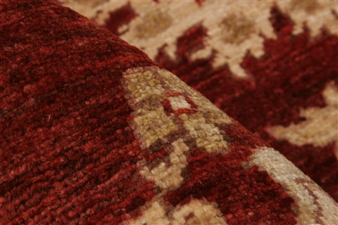 Pishavar Red Square Hand Knotted 89 X 96 Area Rug 250-21672 Image 3