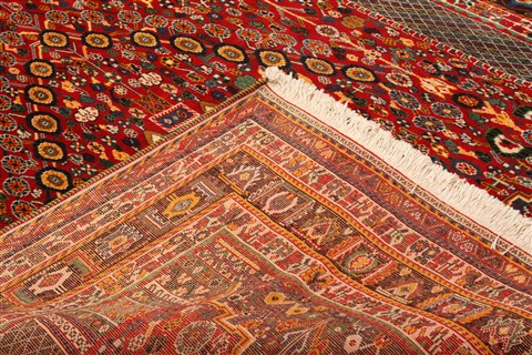 Qashqai Red Hand Knotted 69 X 102 Area Rug 100-21719 Image 10