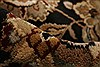 Agra Black Hand Knotted 80 X 102 Area Rug 250-21753 Thumb 3