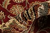 Agra Red Hand Knotted 82 X 103 Area Rug 250-21758 Thumb 6