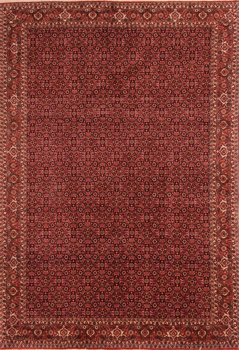 Bidjar Red Hand Knotted 58 X 84 Area Rug 100-21764 Image 0