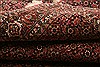Bidjar Red Hand Knotted 58 X 84 Area Rug 100-21764 Thumb 13