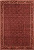 Bidjar Red Hand Knotted 58 X 84 Area Rug 100-21764 Thumb 0