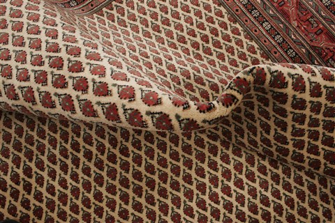 Agra Beige Square Hand Knotted 89 X 103 Area Rug 250-21779 Image 5