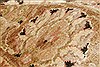 Pishavar Brown Hand Knotted 711 X 100 Area Rug 250-21806 Thumb 1