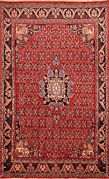 Bidjar Red Hand Knotted 6'8" X 10'8"  Area Rug 100-21876