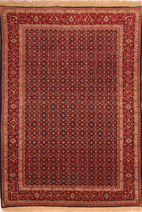 Bidjar Red Hand Knotted 69 X 97  Area Rug 100-21899 Image 0