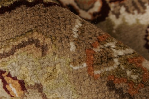 Agra Beige Hand Knotted 40 X 60 Area Rug 250-21907 Image 2