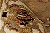 Agra Beige Hand Knotted 40 X 60 Area Rug 250-21907 Thumb 4