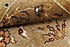 Agra Beige Hand Knotted 40 X 60 Area Rug 250-21907 Thumb 8