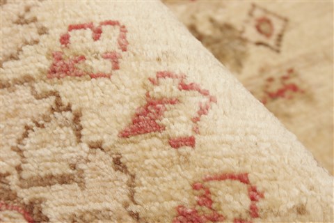 Pishavar Beige Hand Knotted 39 X 58 Area Rug 250-21908 Image 1