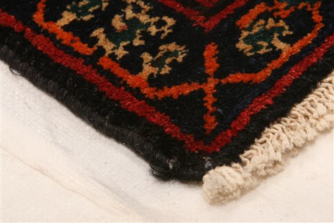 Sanandaj Red Hand Knotted 41 X 56 Area Rug 100-21945 Image 20