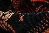 Sanandaj Red Hand Knotted 41 X 56 Area Rug 100-21945 Thumb 1