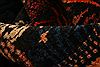 Sanandaj Red Hand Knotted 41 X 56 Area Rug 100-21945 Thumb 2