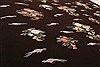 Kilim Black Flat Woven 91 X 122 Area Rug 100-21977 Thumb 15