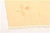 Kilim Yellow Flat Woven 40 X 63  Area Rug 100-21980 Thumb 18