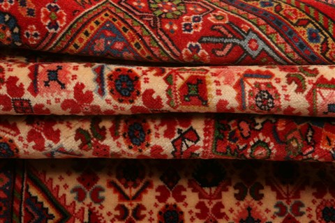 Bidjar Red Hand Knotted 32 X 410 Area Rug 100-22084 Image 5