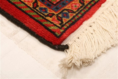 Bidjar Red Hand Knotted 32 X 410 Area Rug 100-22084 Image 8