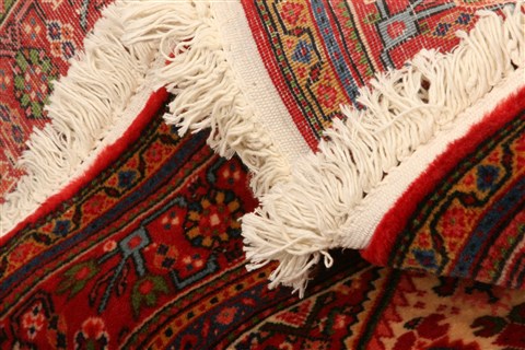 Bidjar Red Hand Knotted 32 X 410 Area Rug 100-22084 Image 4
