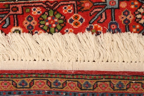 Bidjar Red Hand Knotted 32 X 410 Area Rug 100-22084 Image 7