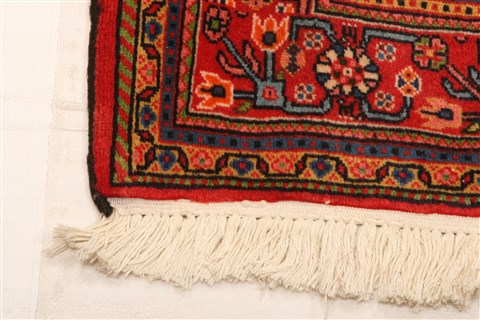 Bidjar Red Hand Knotted 32 X 410 Area Rug 100-22084 Image 9
