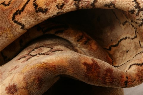 Tabriz Yellow Hand Knotted 33 X 411  Area Rug 253-22095 Image 4