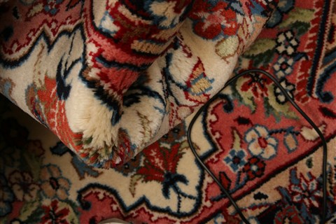 Mashad Red Hand Knotted 33 X 411 Area Rug 100-22112 Image 6