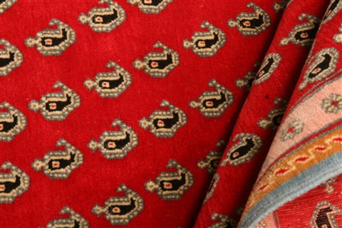 Qashqai Red Hand Knotted 35 X 51 Area Rug 100-22185 Image 3