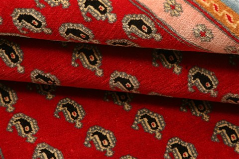 Qashqai Red Hand Knotted 35 X 51 Area Rug 100-22185 Image 7