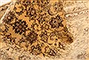 Nain Beige Hand Knotted 30 X 50 Area Rug 100-22219 Thumb 5