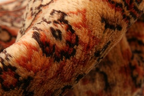 Tabriz Red Hand Knotted 33 X 51  Area Rug 253-22221 Image 2