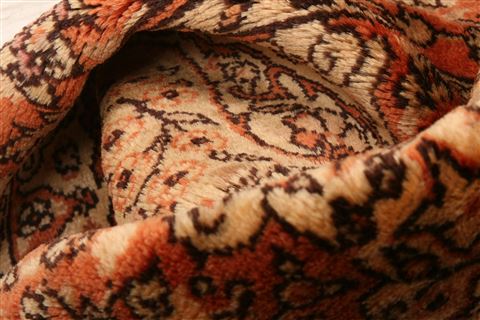 Tabriz Red Hand Knotted 33 X 51  Area Rug 253-22221 Image 3