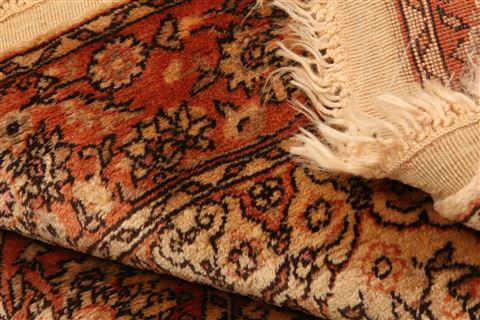 Tabriz Red Hand Knotted 33 X 51  Area Rug 253-22221 Image 5