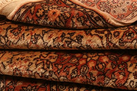 Tabriz Red Hand Knotted 33 X 51  Area Rug 253-22221 Image 6