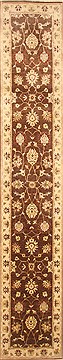 Zanjan Brown Runner Hand Knotted 2'11" X 14'0"  Area Rug 250-22260