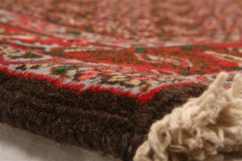 Bidjar Red Hand Knotted 41 X 55  Area Rug 253-22291 Image 1