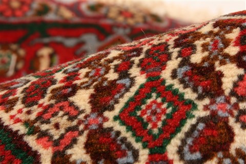 Bidjar Red Hand Knotted 41 X 55  Area Rug 253-22291 Image 2