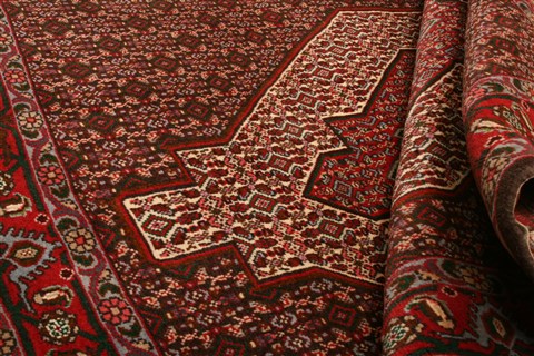 Bidjar Red Hand Knotted 41 X 55  Area Rug 253-22291 Image 4