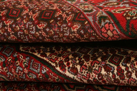 Bidjar Red Hand Knotted 41 X 55  Area Rug 253-22291 Image 7