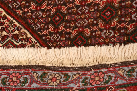 Bidjar Red Hand Knotted 41 X 55  Area Rug 253-22291 Image 9