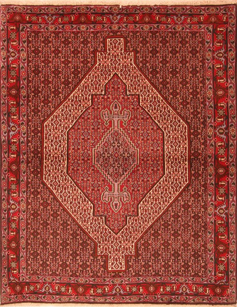 Bidjar Red Hand Knotted 41 X 55  Area Rug 253-22291 Image 0
