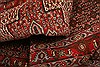 Bidjar Red Hand Knotted 41 X 55  Area Rug 253-22291 Thumb 3