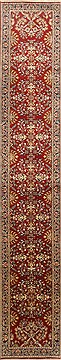 Indian sarouk Red Runner 13 to 15 ft Wool Carpet 22315