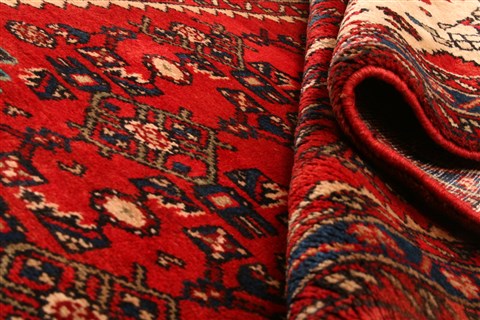 Rudbar Red Hand Knotted 36 X 510 Area Rug 253-22341 Image 4