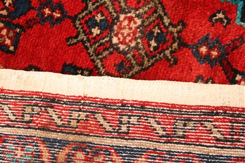 Rudbar Red Hand Knotted 36 X 510 Area Rug 253-22341 Image 7