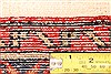 Rudbar Red Hand Knotted 36 X 510 Area Rug 253-22341 Thumb 6